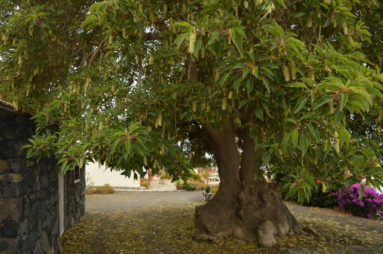 Casona Rural Los Melindros Los Quemados Eksteriør bilde